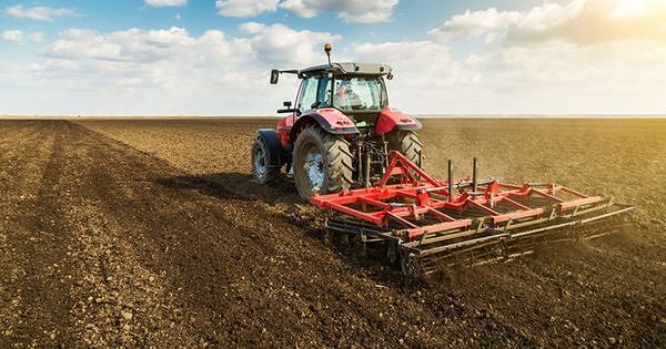 🌾 Semănatul grâului și orzului în 2025 – provocări, tratamente și calcule practice