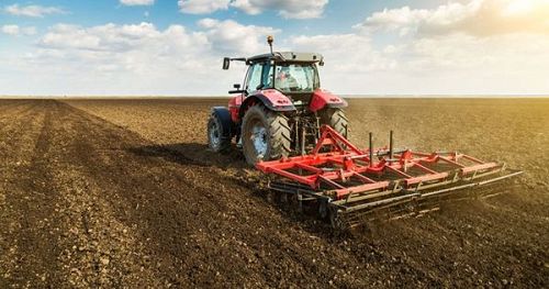 🌾 Semănatul grâului și orzului în 2025 – provocări, tratamente și calcule practice