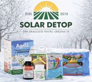 Pregătește pomii și grădina pentru sezonul rece