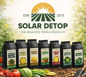 Descoperă colecția noastră de semințe de firmă Solar Detop