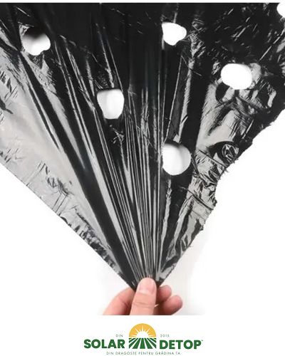 Folie Mulch  Capsuni kg