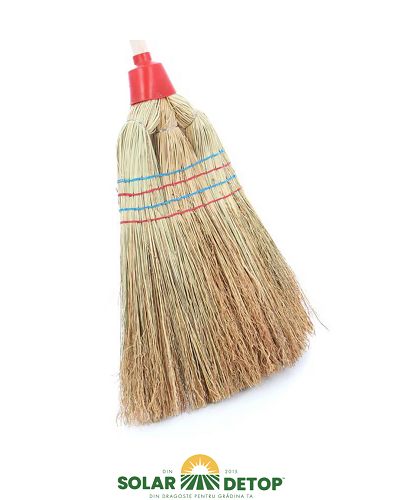 Matura Paie Coada Cu Capac