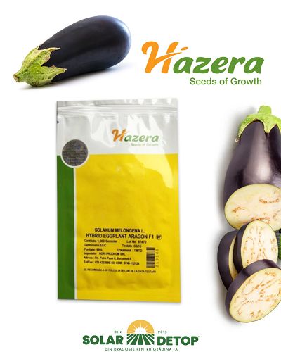 Vinete Aragon F1 1000sem