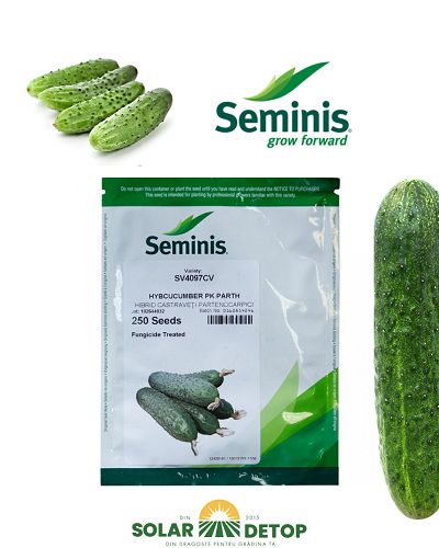 Castraveti SV4097CV 250 sem