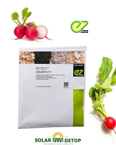 Ridichii Celesta 50gr