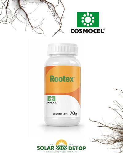 Rootex 70gr