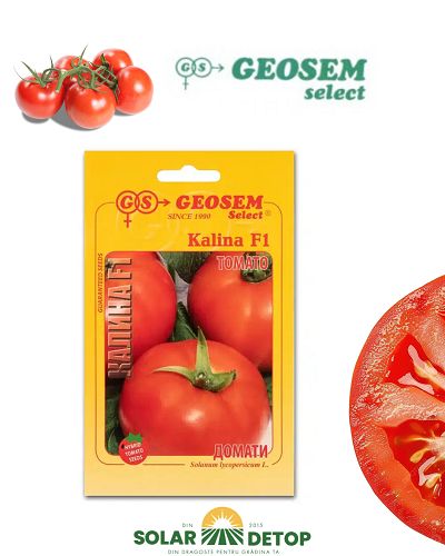 Rosii Kalina F1  250 sem