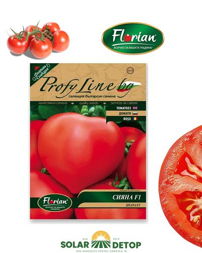 Tomate Siyana 50 sem