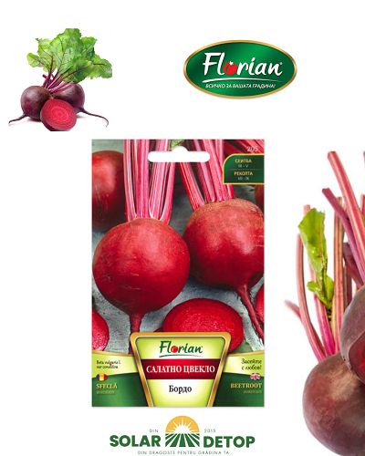 Sfecla Rosie Bordeaux 3g