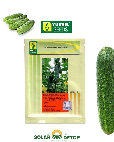 Castraveti Capricorn (311) F1 1000s