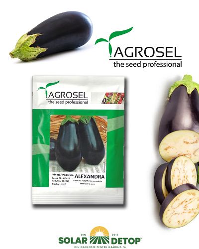 Vinete Alexandra 2500sem