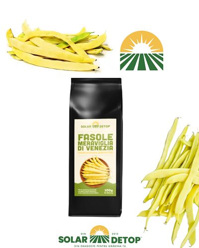 Fasole Minunea Venetiei 50gr