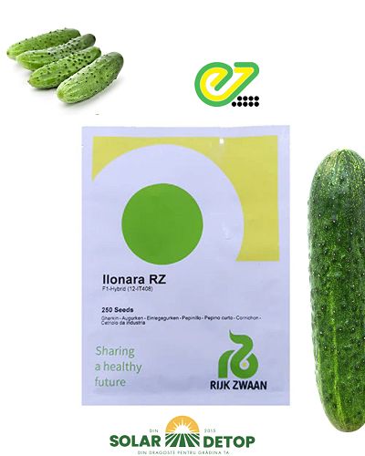 Castraveti Ilonara 250s