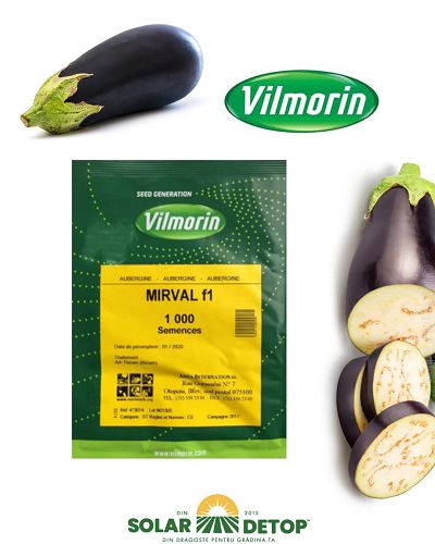 Vinete Mirval F1 1000sem