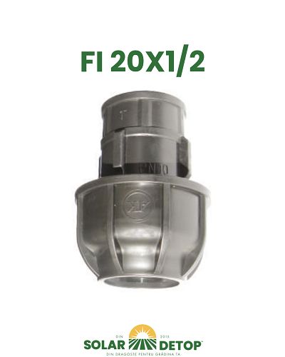Racord C FI 20x1/2
