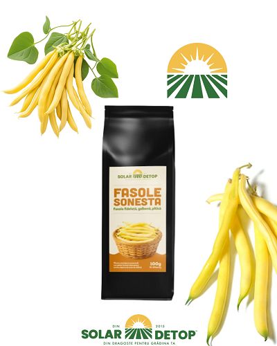 Fasole Sonesta 100gr