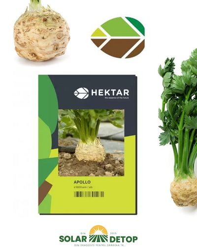 Telina Apollo 1000sem