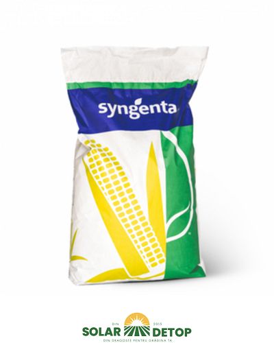 Porumb Chorintos  FAO 300-340 Syngenta 50.000 boabe