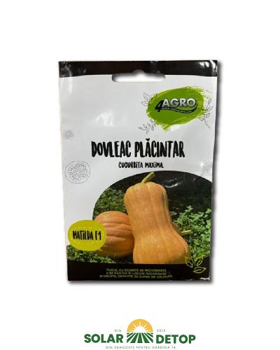 Semințe dovleac plăcintar Matilda F1 – 20 semințe