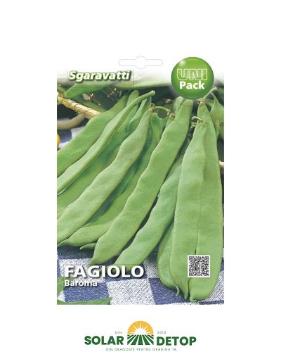 Semințe fasole Baroma VR Bean – Sgaravatti 100gr