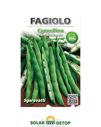 Semințe fasole Cannellino – 500 g pentru boabe