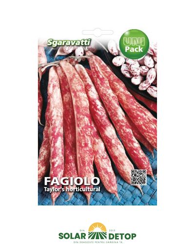 Semințe fasole Taylor’s Horticultural – 100 g fasole pitica pentru boabe
