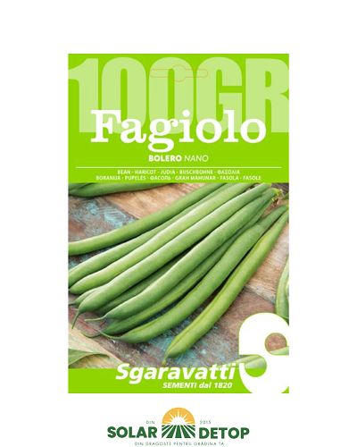 Semințe fasole Bolero 100gr  – Sgaravatti
