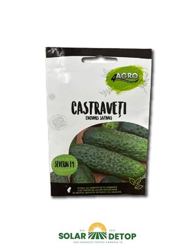 Semințe castraveți Severin F1 – 15 semințe 4Agro