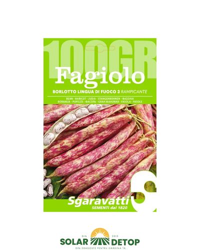 Semințe fasole Borlotto Lingua di Fuoco 3 – 100 g fasole urcatoare