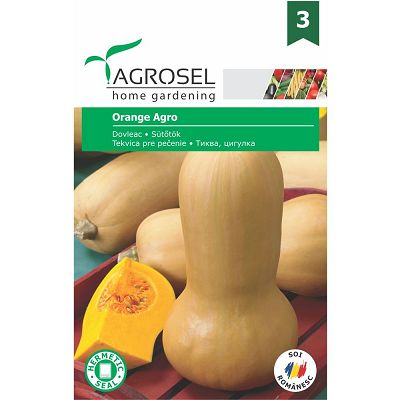 AS PG3 Seminte Dovleac Placintar Orange Agro - 4g