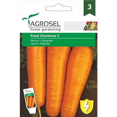 Seminte Morcovi Chantenay Red Cored2 - 5g