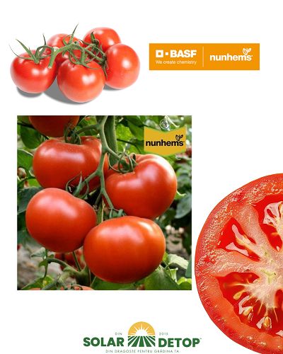 Tomate Axiom f1 500s