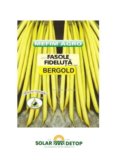 Fasole Fideluta Galbena Bergold 50gr