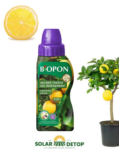 Ingrasamant lichid citrice Bopon 250ml