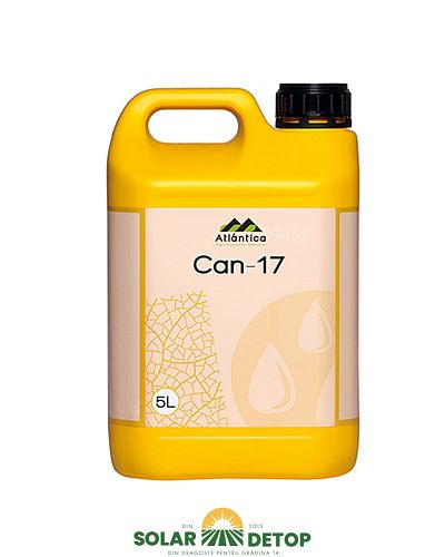 CAN 17 5L