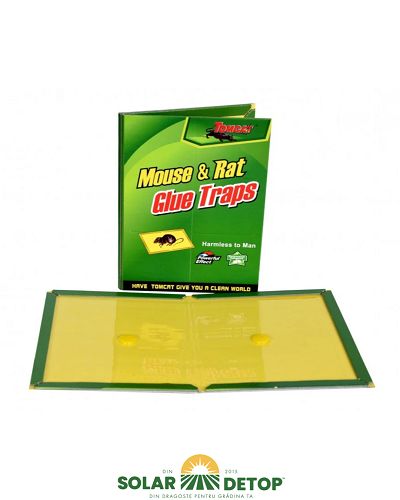 Carticica Raticida Green Trap