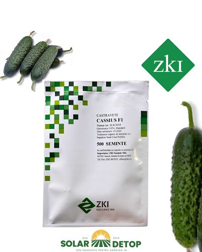 Castraveti Cassius F1 500s