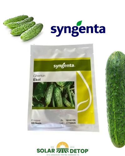 Castraveti Ekol F1 500s