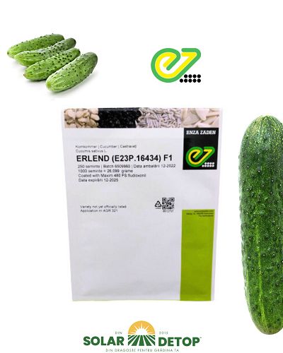 Castraveti Erlend F1 250s