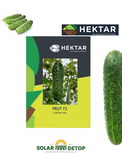 Castraveti Prut F1 100s