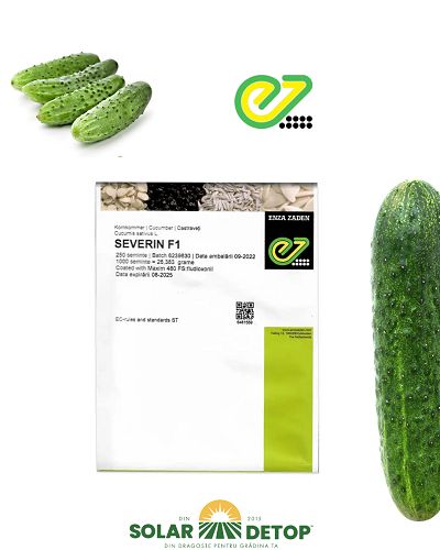 Castraveti Severin F1 500s