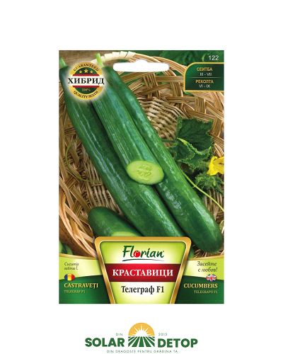 Castraveți Telegraf F1 1gr