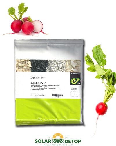 Ridichii Celesta  F1 250gr