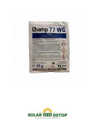 Champ 20gr