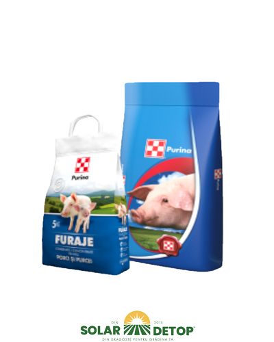 Concentrat Purcei st