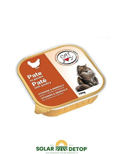 Conserva Pisica 100gr