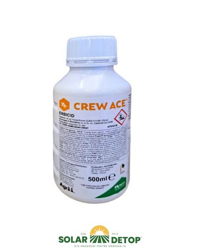 Crew Ace 500ml