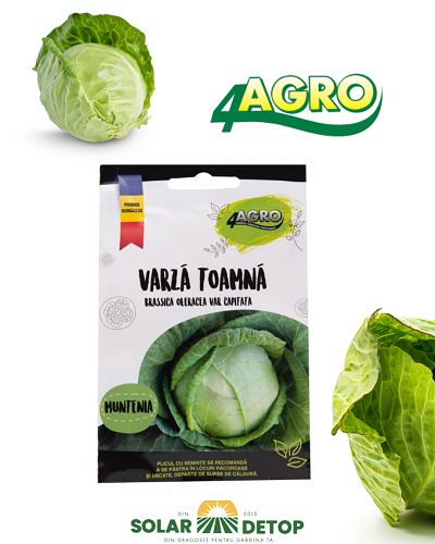 Varza Muntenia 2gr 4Agro