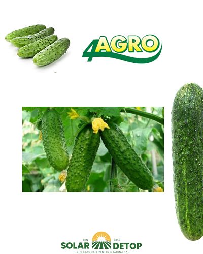 Castraveti Mapamond 5gr