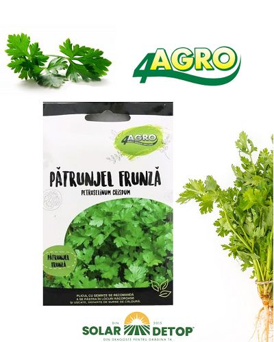 Patrunjeel Italian Gigant 50gr 4agro